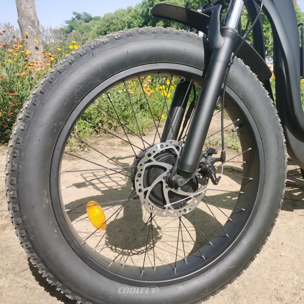 High Power Tricycles Family Cargo Lithium Battery Three Wheel Electric Bicycle 48v 750w 1000w e Bike for Sale