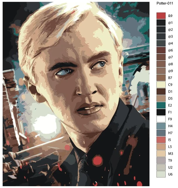 Draco Malfoy Harry Potter - Paint By Numbers - Paint by numbers for adult