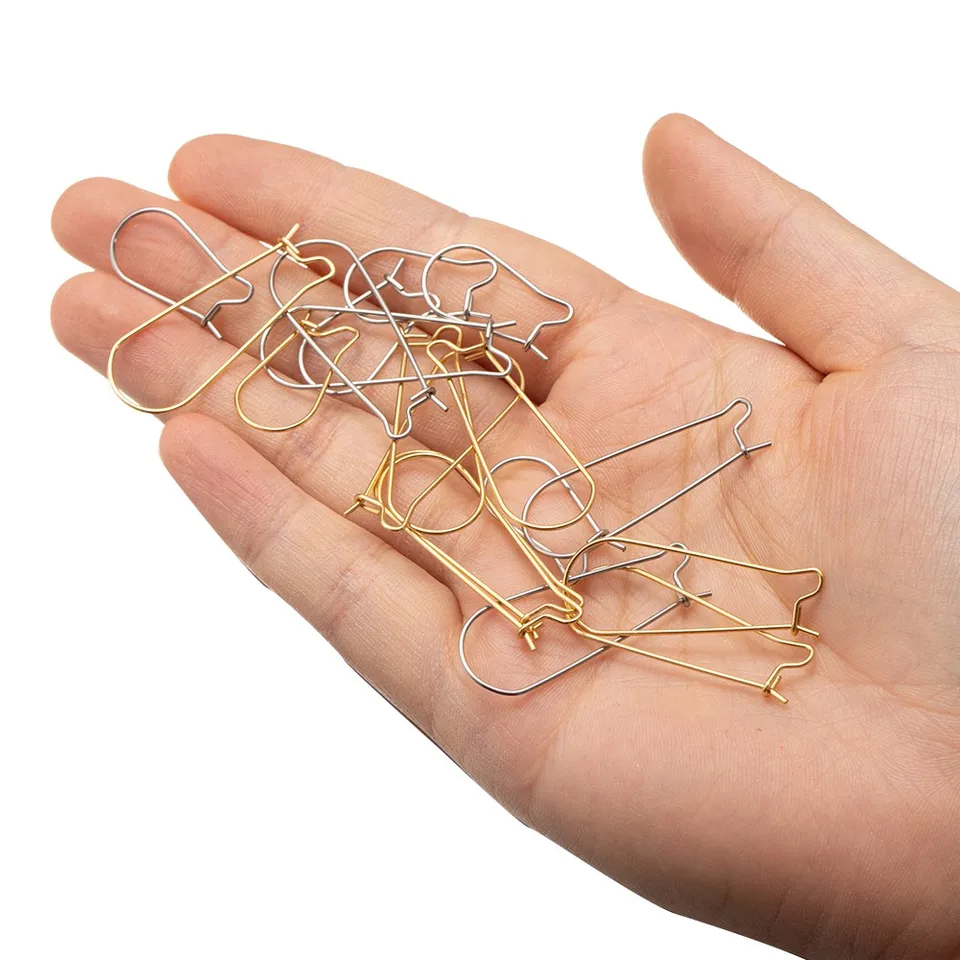 Ganchos Para Pendientes De Riñón - 20 Mm Hallazgos De Acero