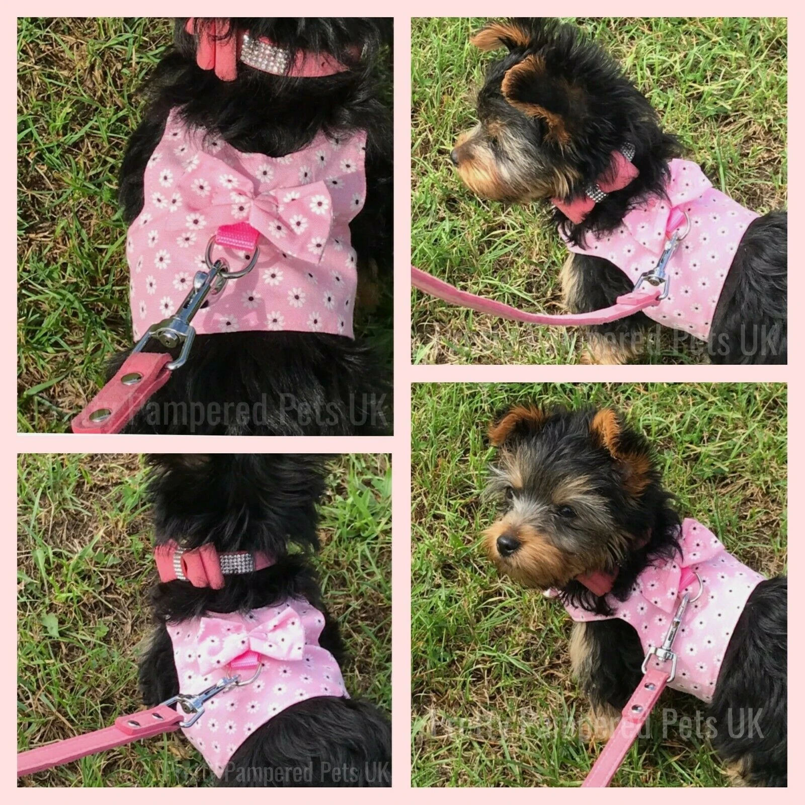 Dog Teacup Chihuahua Harness Lead Mesh Vest Xxxs Xxs Xs For Tiny Kitty Cat Yorkie Soft Vest