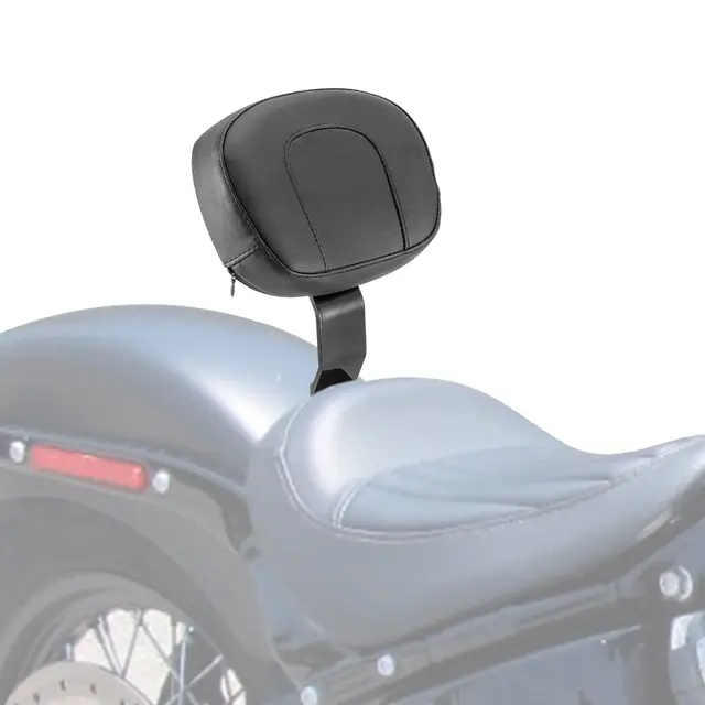ハーレー ソフテイル 2018年以降 FXLR FXLRS FLSB用シシーバー 行なっ 