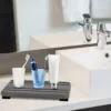 3pcs Large Absorbent Stone Tray Dry And Tidy Diatomaceous Earth Stone Sink Tray Instant Dry Sink, Sponge Hand Soap Holder 6