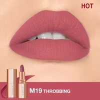 O.TWO.O Lipstick Lip Tint Matte Nude Pink Matte Solid Long Lasting Velve Red Tinted Balm 24 Hours Waterproof LipSticks Makeup