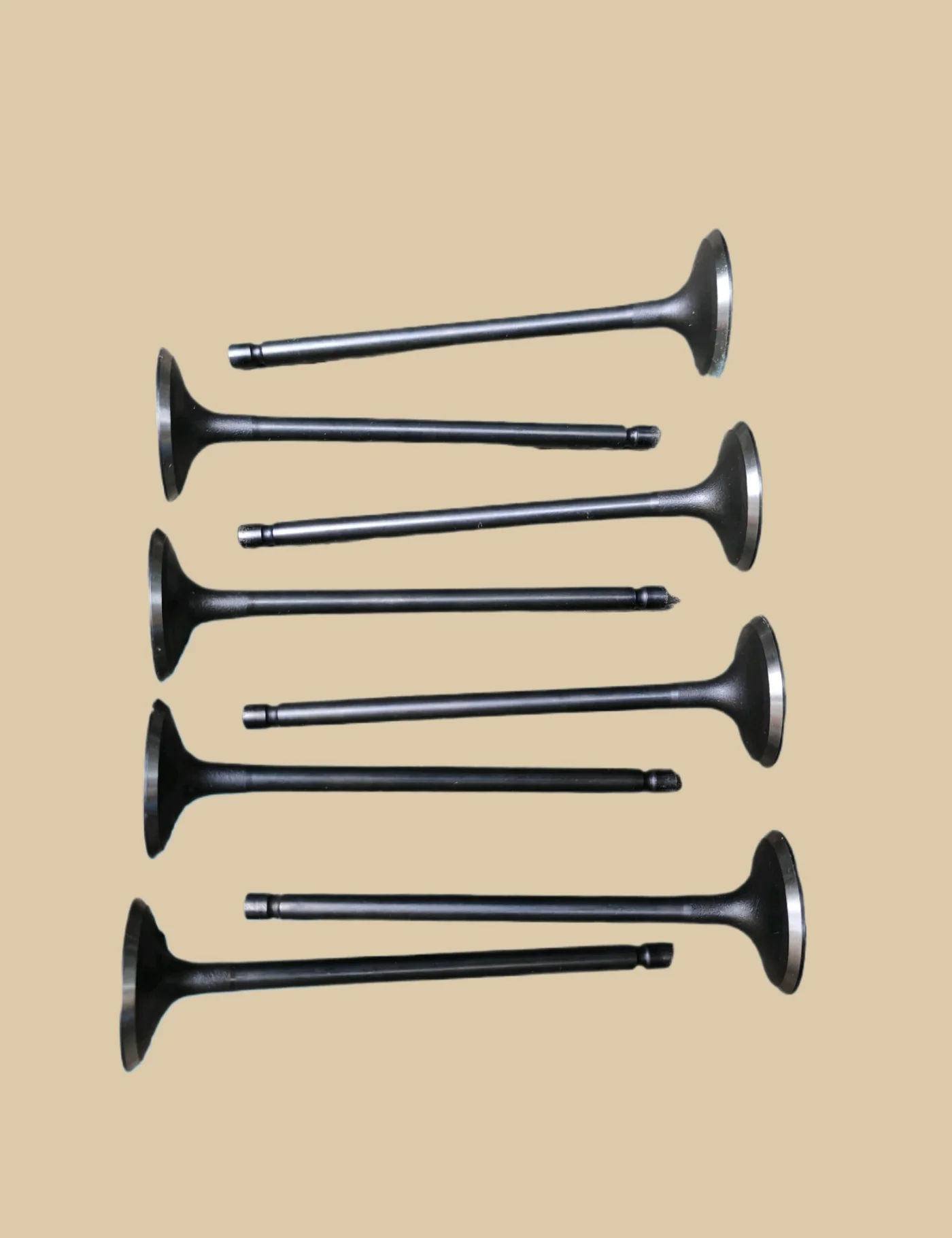 JAC M5 HFC4DB1 intake valve 1003202GD190 8pcs