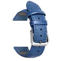 Blue-Silver