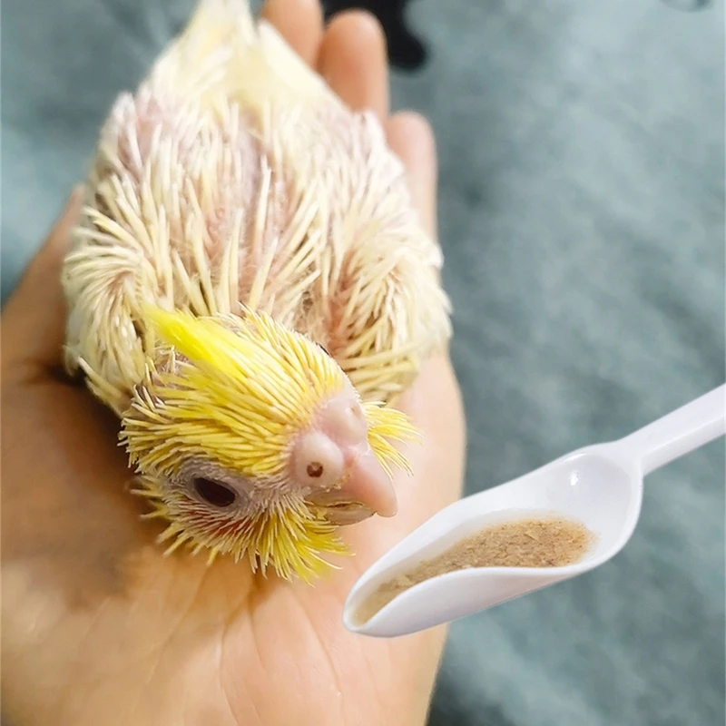 Feeding Spoon for Baby Bird Beak-Imitation Spoon High Temperature Resistant