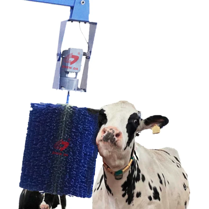

Newest Design with Competitive Price Cow Body Massager Single Head Cow Body Brush