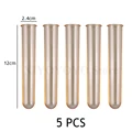 Amber 5pcs