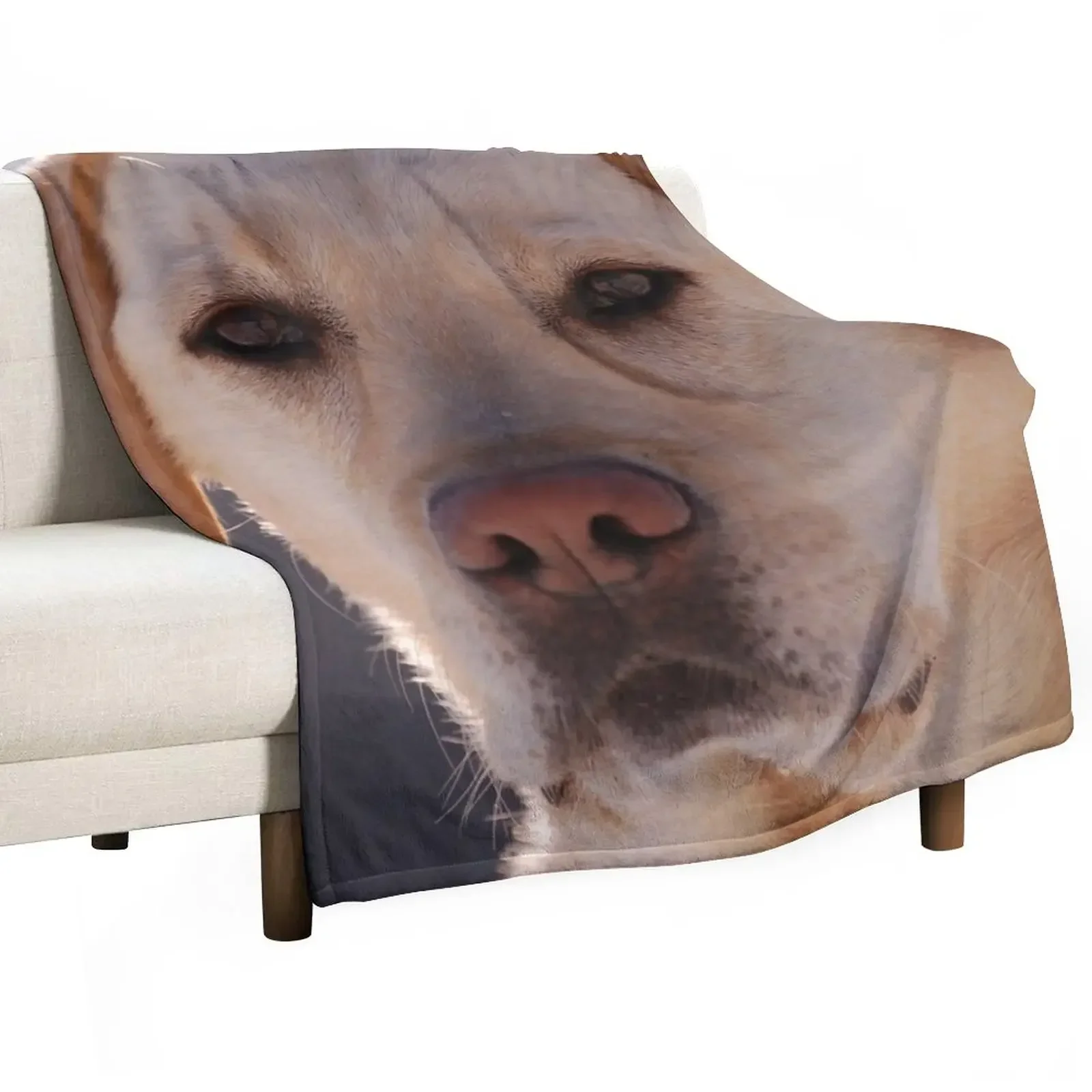 

Portrait of A Golden Labrador Dog Throw Blanket Plaid on the sofa Vintage Camping Baby Blankets