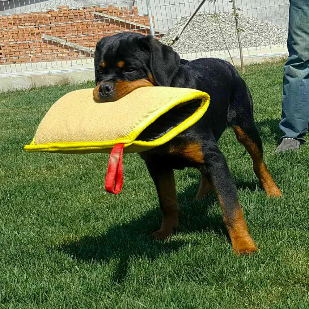 Dog Training Bite Sleeves Pet Tugs Toy Arm Protection Sleeve For Dog Bite Training Young Dogs Malinois German Shepherd dog training supplies