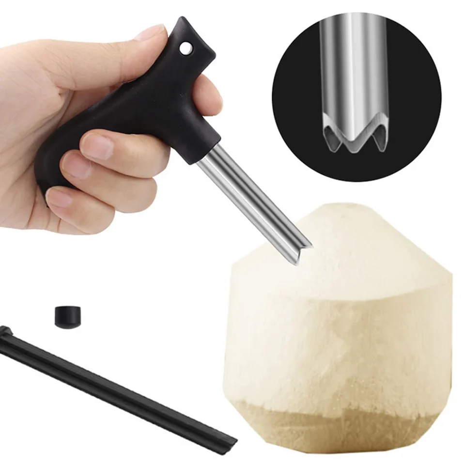 Calayu Apri noce di cocco in acciaio inox, fresche di noce di cocco verde