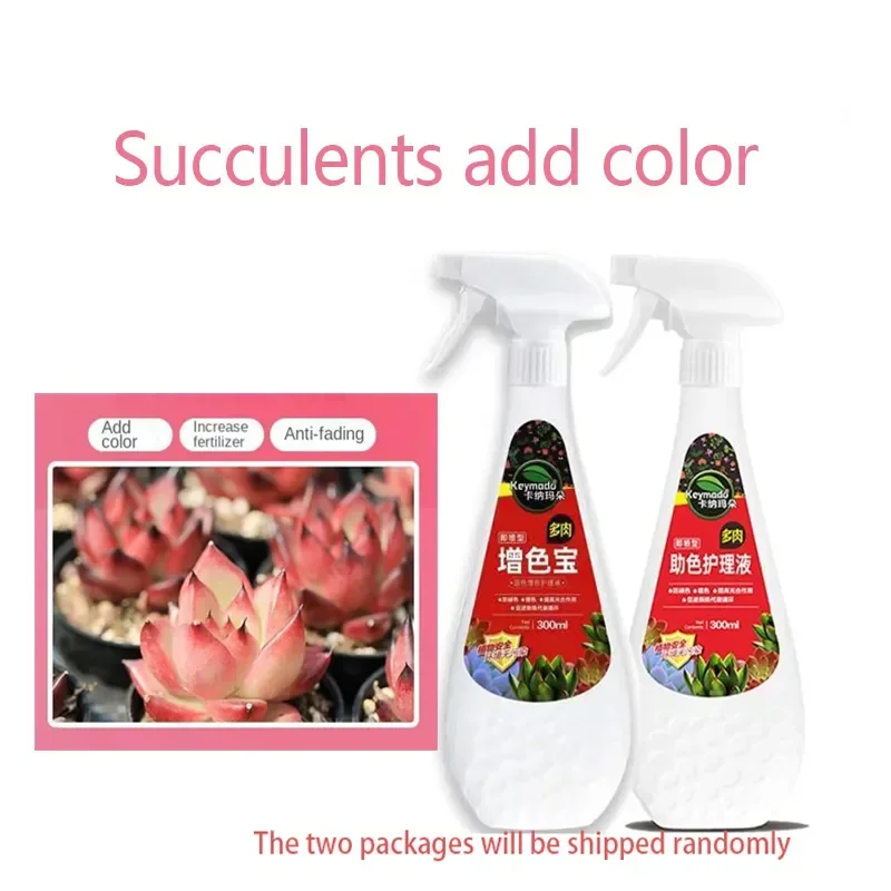 Eugenin Succulent Growth Enhancer - Promotes Budding & Prevents Legginess (300ml)