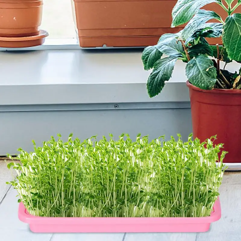 Nursery Tray For Plants Seedling Germination Soil-less Cultivation Tray Microgreens Plant Propagation Trays Healthy Wheatgrass 2