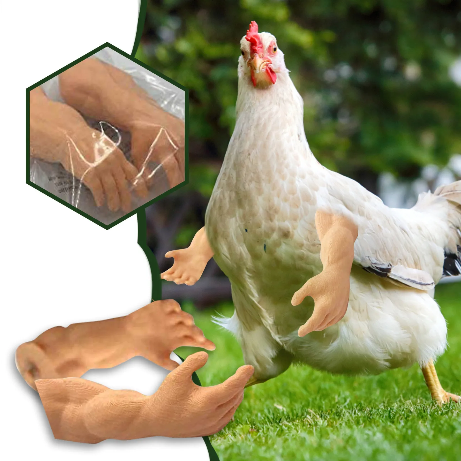 Chicken Arm Toy Gag Gift Chicken Arms Props Chicken Forelimb Decoration  Spoof For Pet Themed Party Farm Animal Supplies Hot - AliExpress