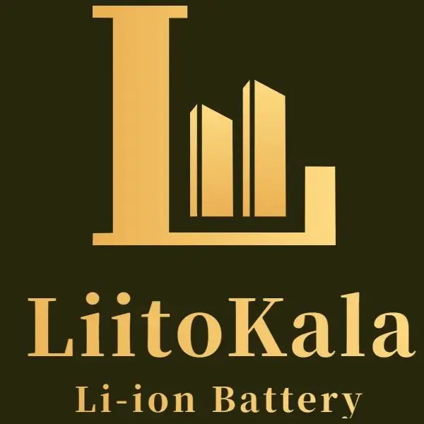 LiitoKala Battery Factory Direct Store Store