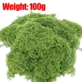 100g