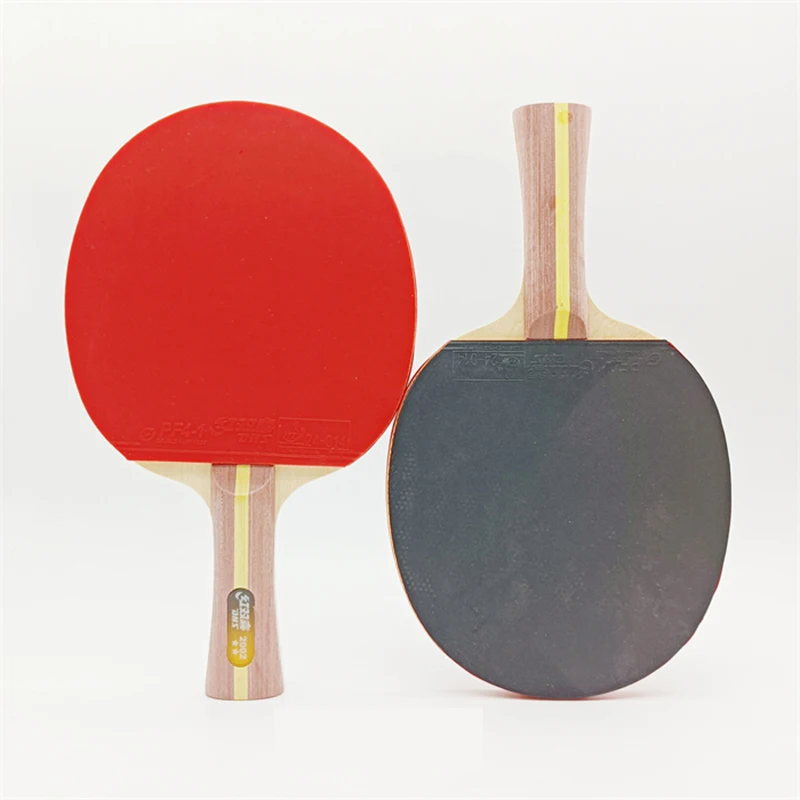 DHS finished table tennis racket ping pong H1002 H1006 H2002 H2006 for table tennis ping pong game