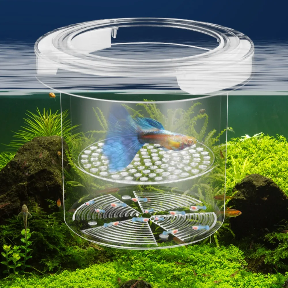 Acrylic Floating Fish Breeding Isolation Box Aquarium Breeder Feeder Fish Tank Hatching Incubator Aquarium Hatchery Accessory
