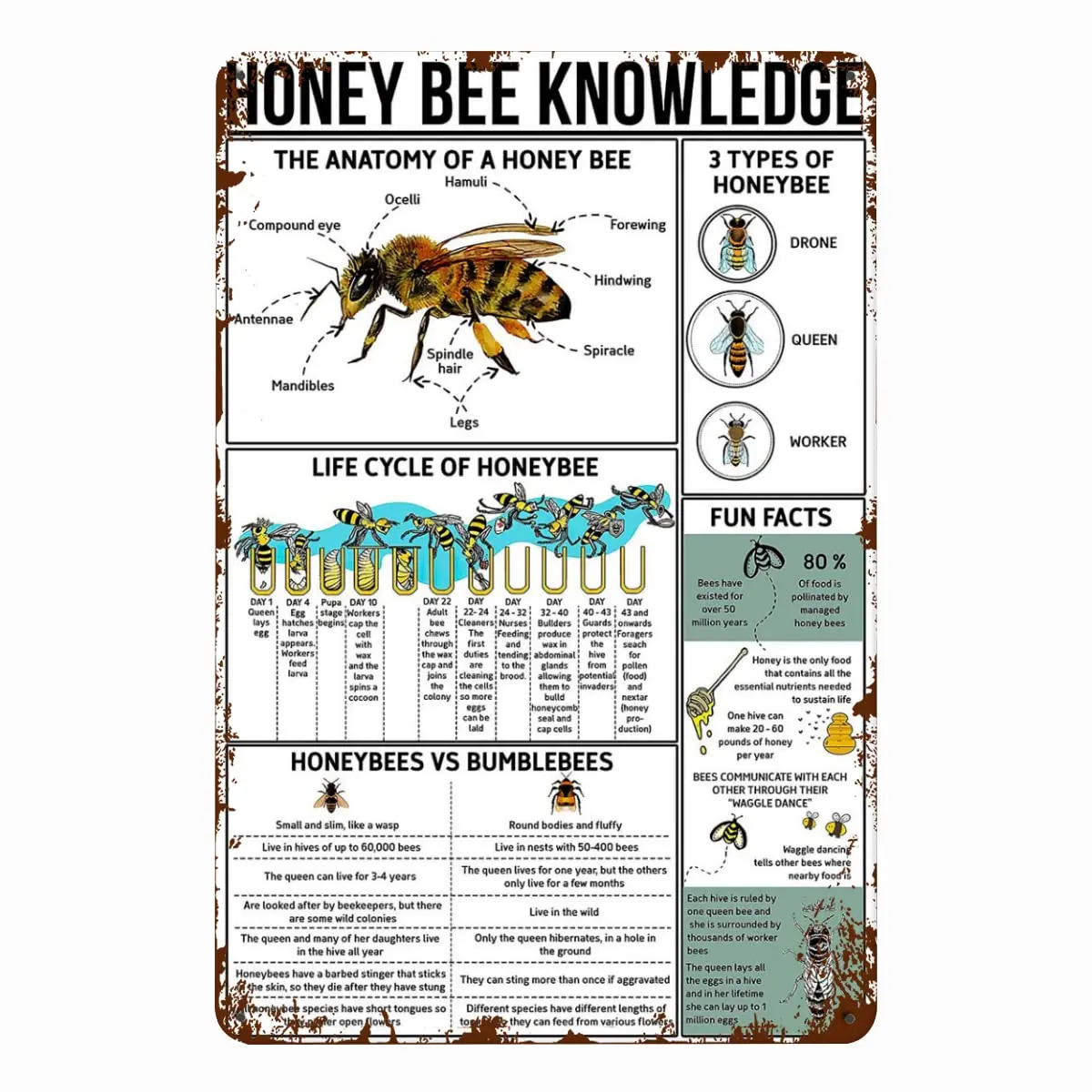 Vintage Metal Tin Signs Honey Bee Knowledge Metal Sign Home Decor Study Guide For Beekeeper Poster Farm Room Shop Club Wall Deco music knowledge metal tin signs club decor music theory guide poster room home office wall decoration plaque 8x12 inches