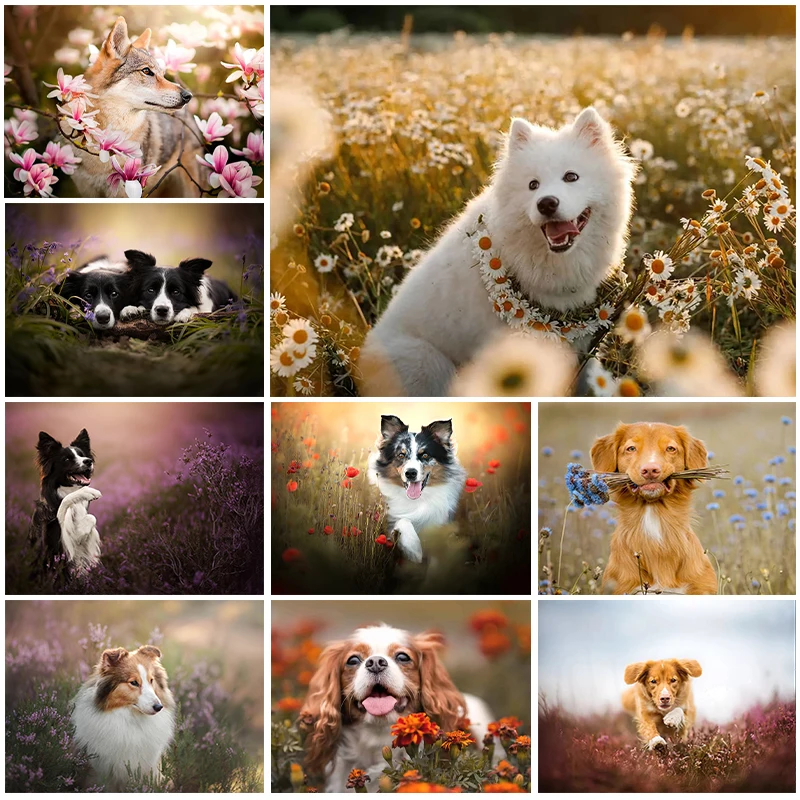 

Животные 5D алмазная живопись милая собака цветные цветы алмазная живопись инкрустированная полностью Алмазная вышивка живопись украшение для дома