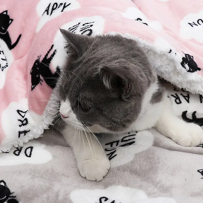 Winter Pet Dog Blanket Warm Soft Cushion Print Flannel Cotton Mattress Cats  Mat Puppy Blanket Bed Pads Dogs Pillow - AliExpress