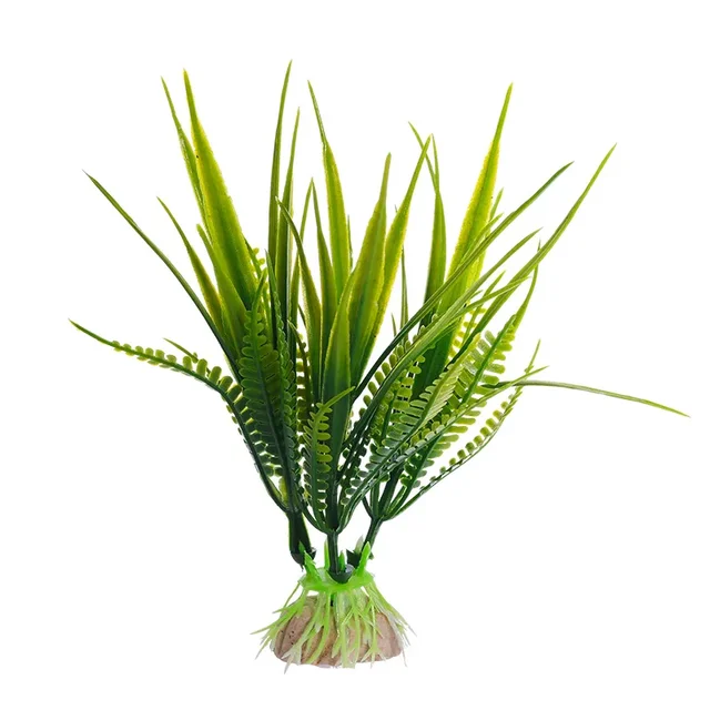 Image 27