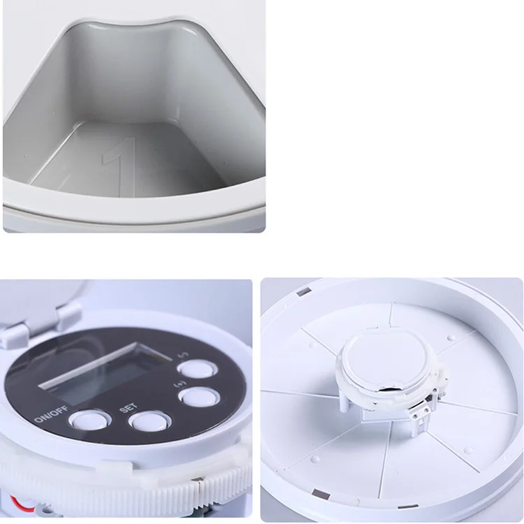 S43e329d050574b7ab44d175f6bc2656bL