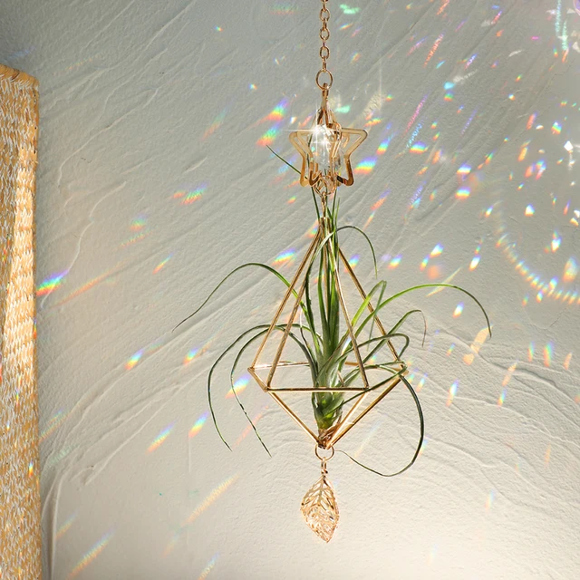 Arany Függő Légikórtartó Tillandsia Air Növények Fogas Geometriai Himmeli Fern Kijelző Ültető Kristály Otthoni Dekorációval - Image 2