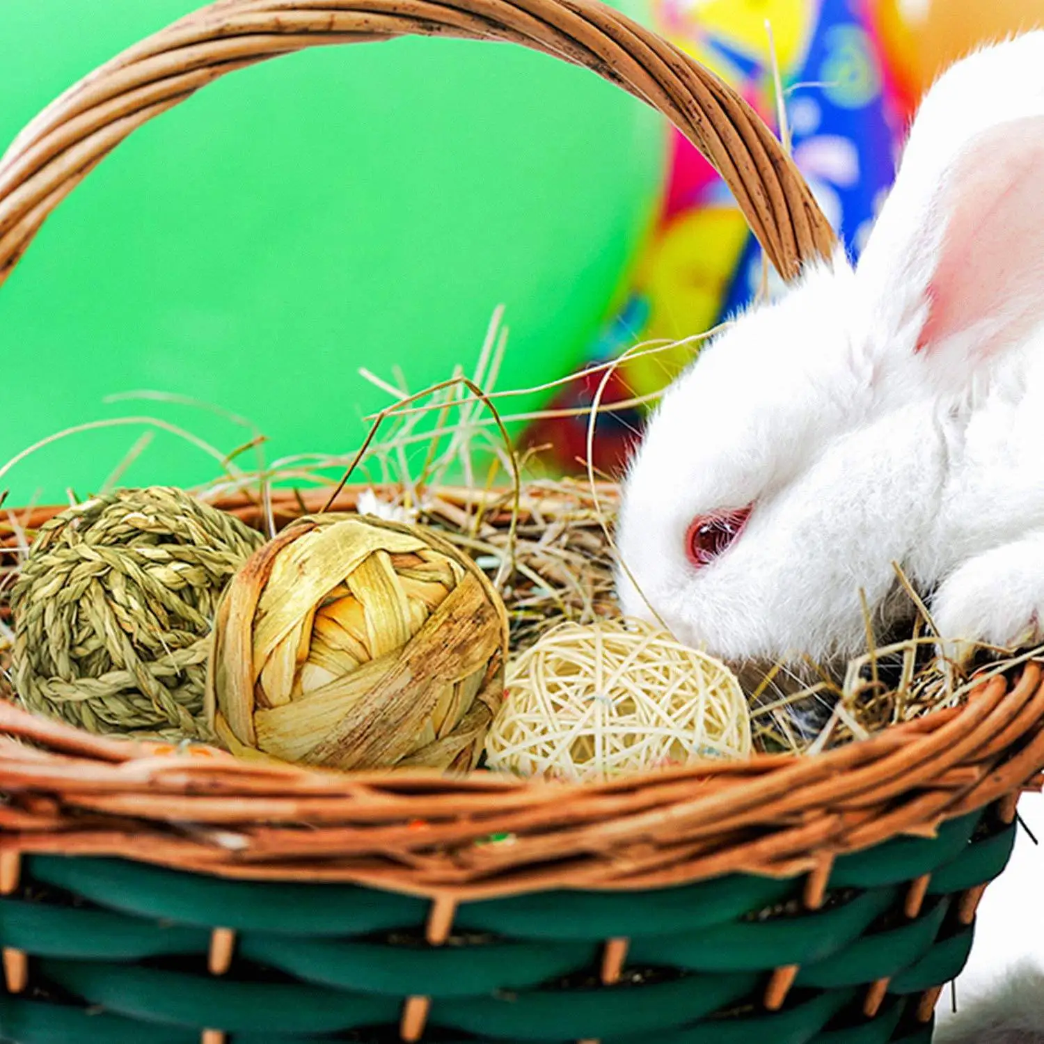 Small Animal Chew Toys 6
