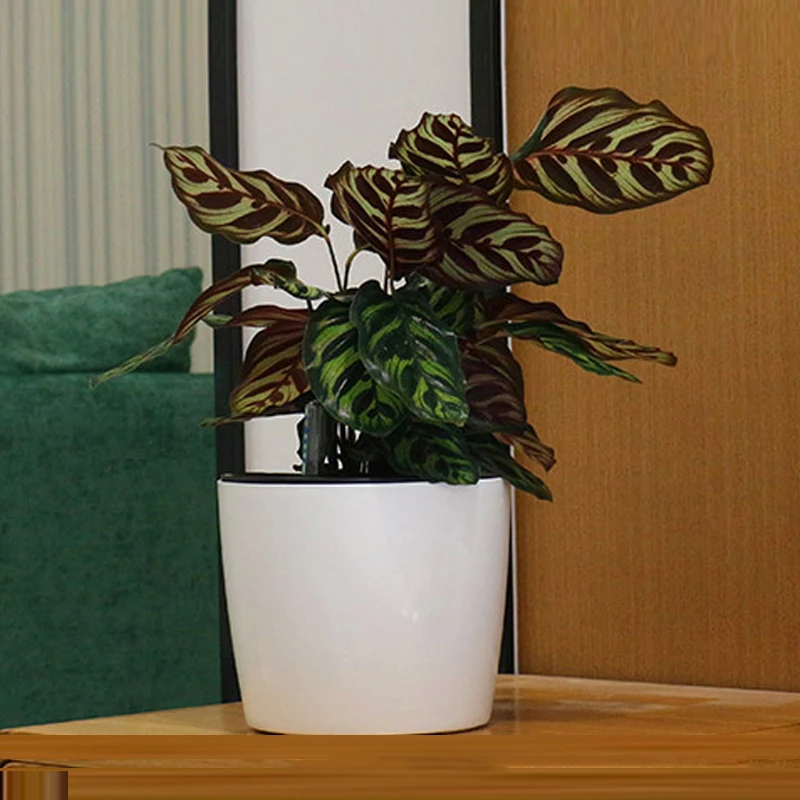 Indoor Self-Watering Plastic Flower Pot with Water Level Indicator