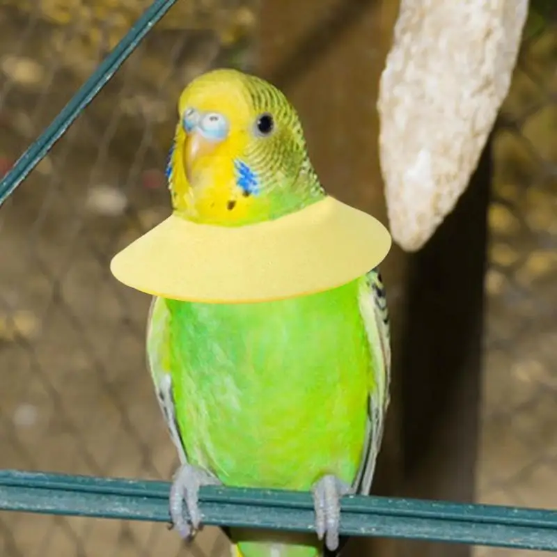 Collar Isabelino Antimordeduras Para Loros - Terciopelo Suave, Ajustable, Evita El Desplume
