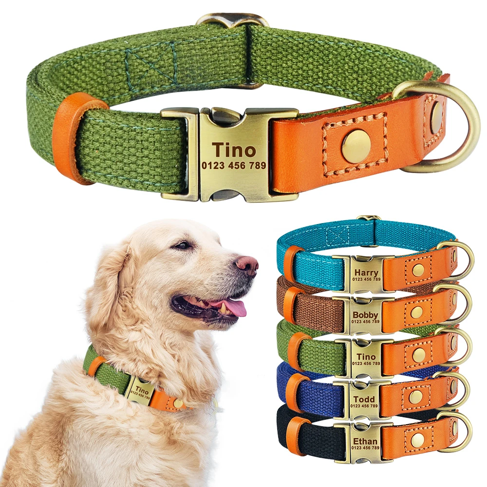 Should You Put Your Dogs Name On Their Tag