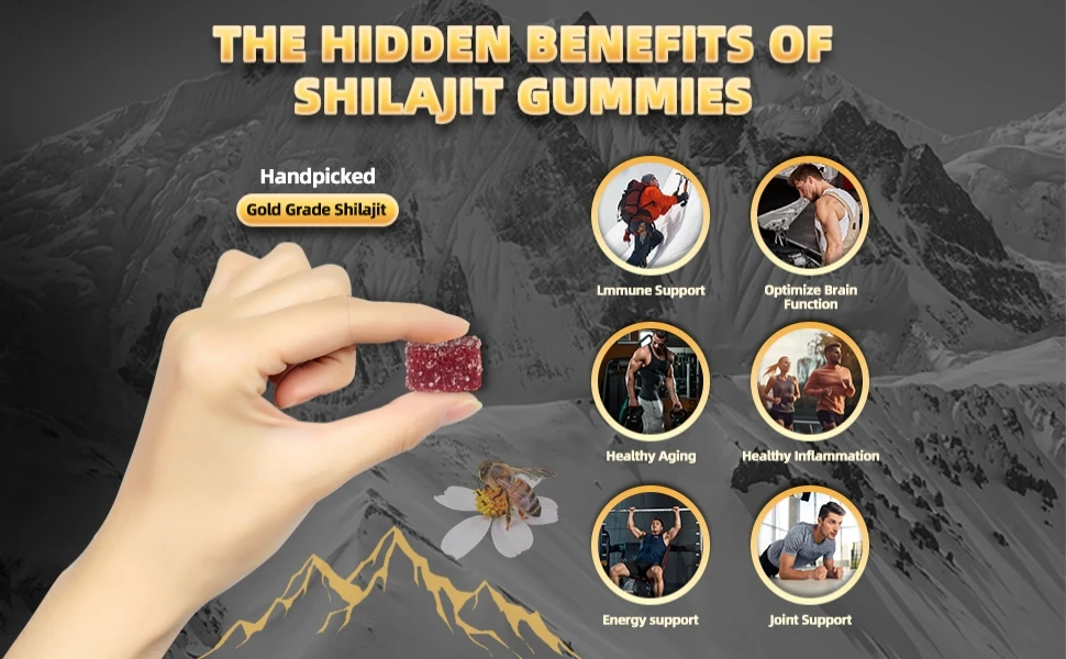 shilajit for men