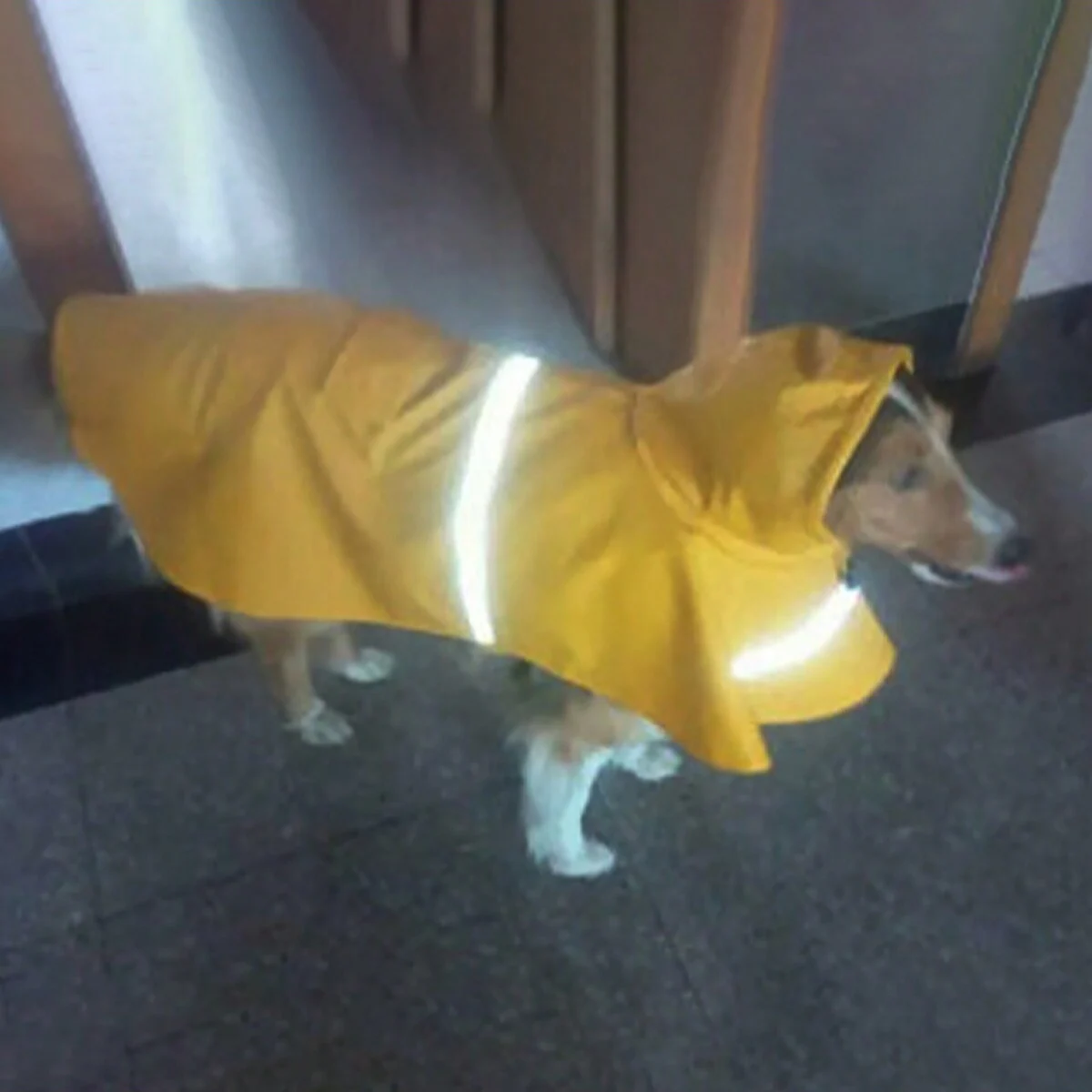 1pc - Adjustable Waterproof Dog Raincoat - Ultra-Protective, Durable & Quick-Dry for Rainy Adventures - Ensures Cozy Comfort!