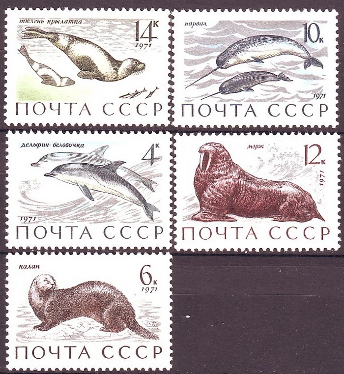 

5Pcs/Set New USSR CCCP Post Stamp 1971 Marine Mammal Seal Postage Stamps MNH