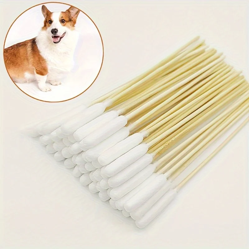 Cotton Swabs Wood Cotton Swabs Disposable Cotton Swabs 50/100/250/300/400/500/1000Pcs Pet Cotton Swabs Disposable Long Cotton Swab Stick With Wooden Handle For Pet Dog Ear Cleaning