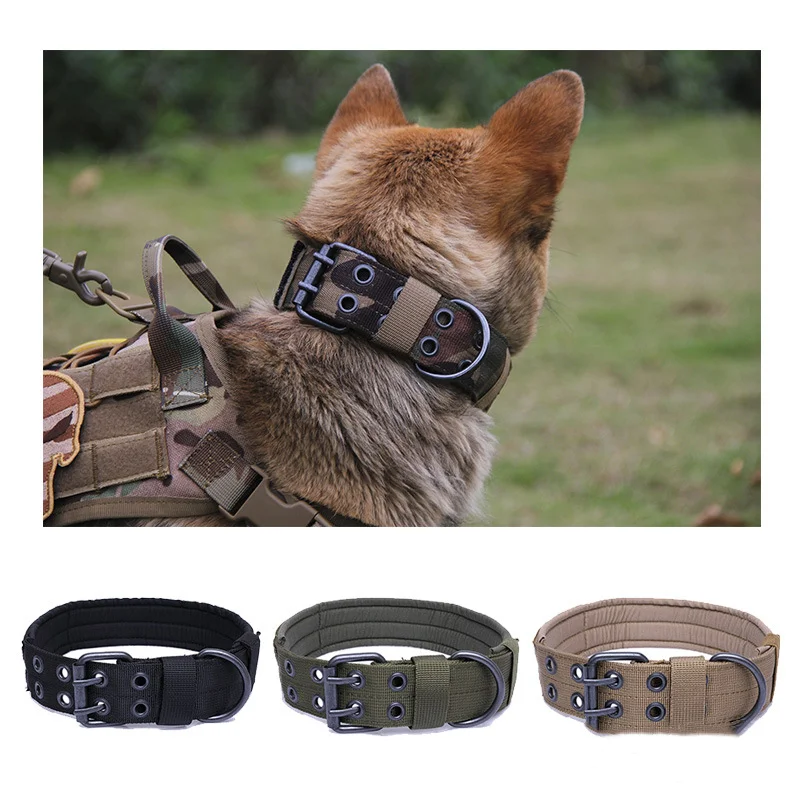German shepherd hot sale collars and leads
