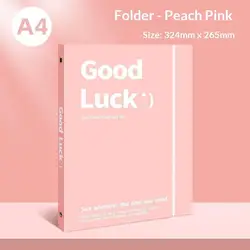 Transparent A4 Detachable File Folder - Students and Office Stationery Storage Booklet (Available in Sets of 1, 4, or 5) (A2)