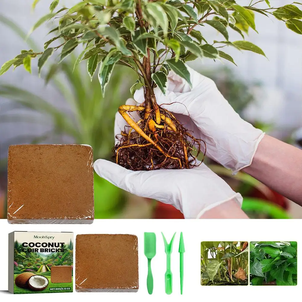 High Quality Natural Organic Coconut Shell Animal And Potting Soilless Fiber Plant Peat Soil Coconut Feeding Shell Bricks G V7H6