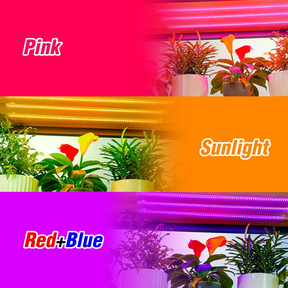 Slide image c89d3cc8b2e249c496647e5ecb011613