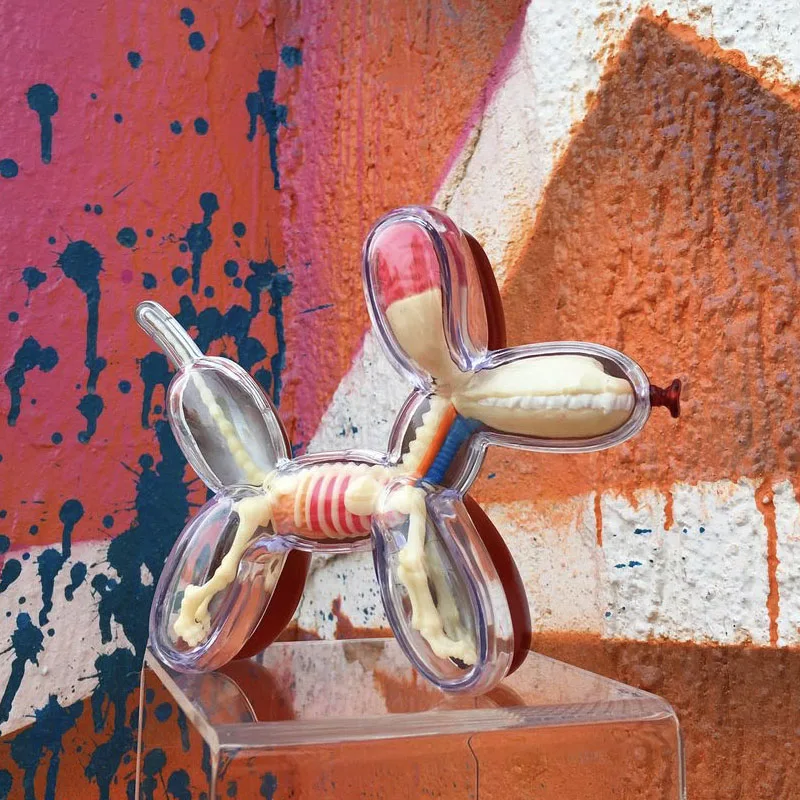 4dマスタービジョンおもちゃ、透明なアセンブリバルーンドッグ、解剖学