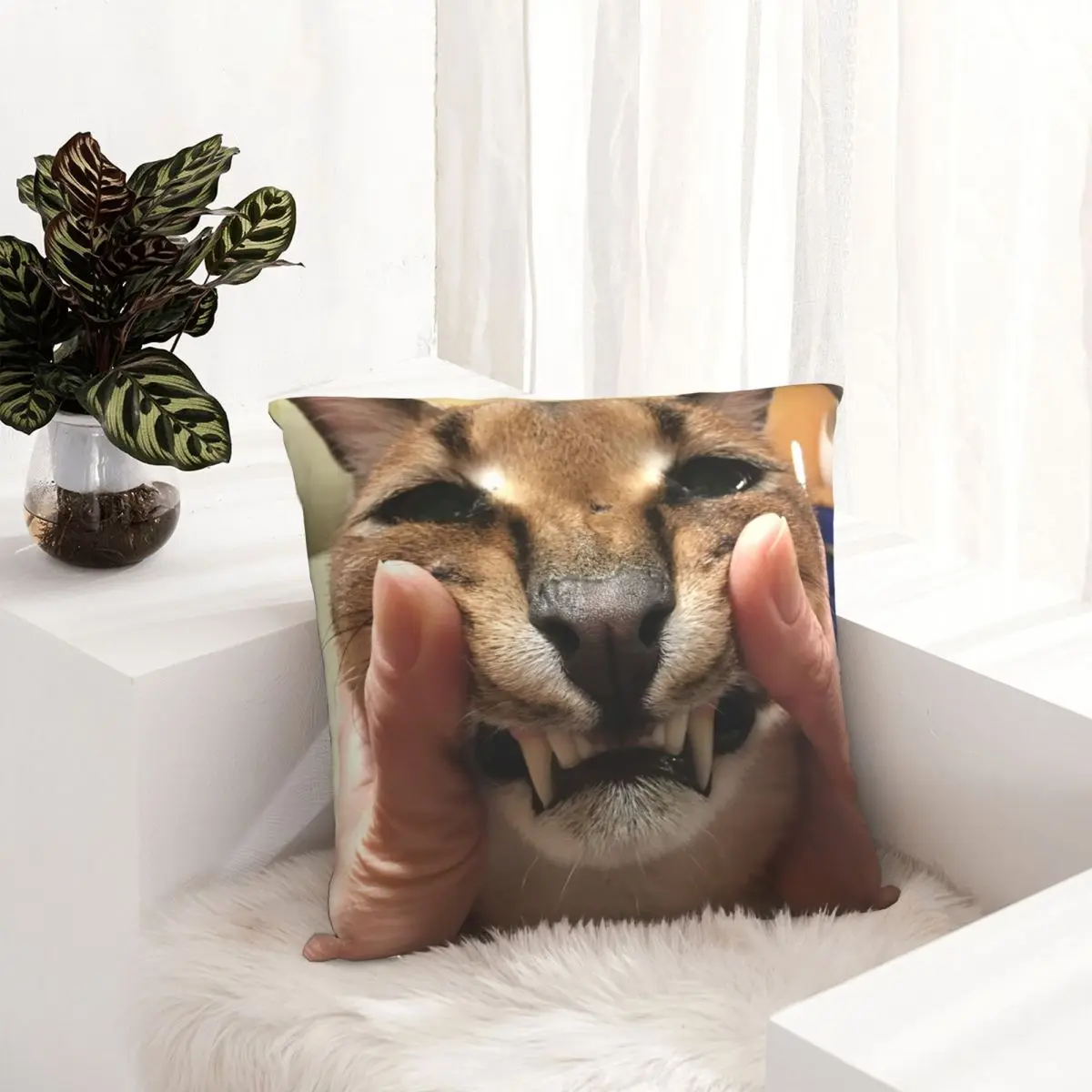 Compra online de Floppa bonito meme capa de almofada 40x40 decoração para  casa impressão 3d engraçado caracal gato lance travesseiro caso para sala  estar dupla face