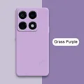Grass Purple