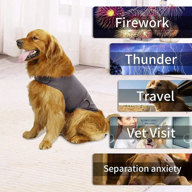 Adjustable Anti-Anxiety Calming Vest for Dogs – Soft & Comfortable 4