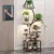 Indoor Plant Stand Premium 8-Tier Multi-Functional Grow Light Rack — Irregular Display for Patio Living Room Bedroom Gift