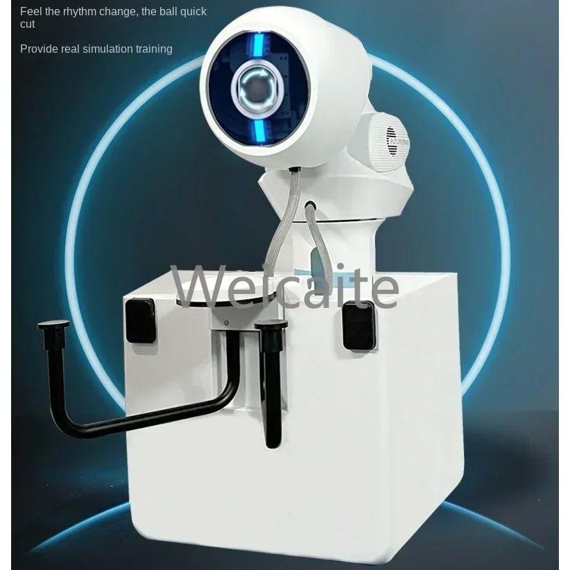 OMNI Pong Table Tennis Training Machine: A Deep Dive into Smart, App ...