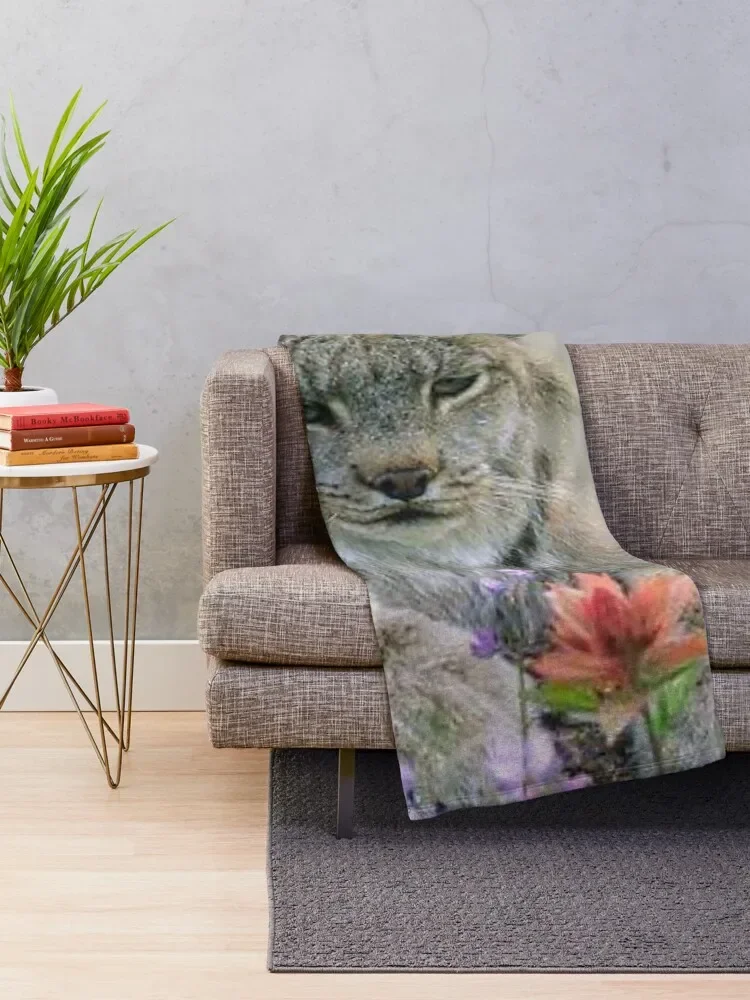Lynx ĳ ô , ũ  