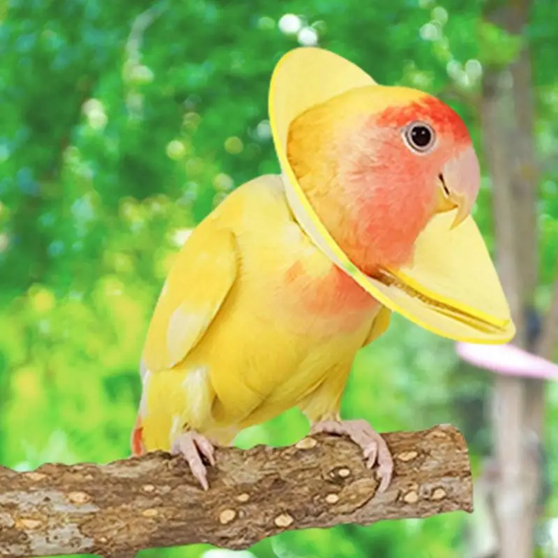 Collars For Birds Soft Collars For Parrot Feather Plucking