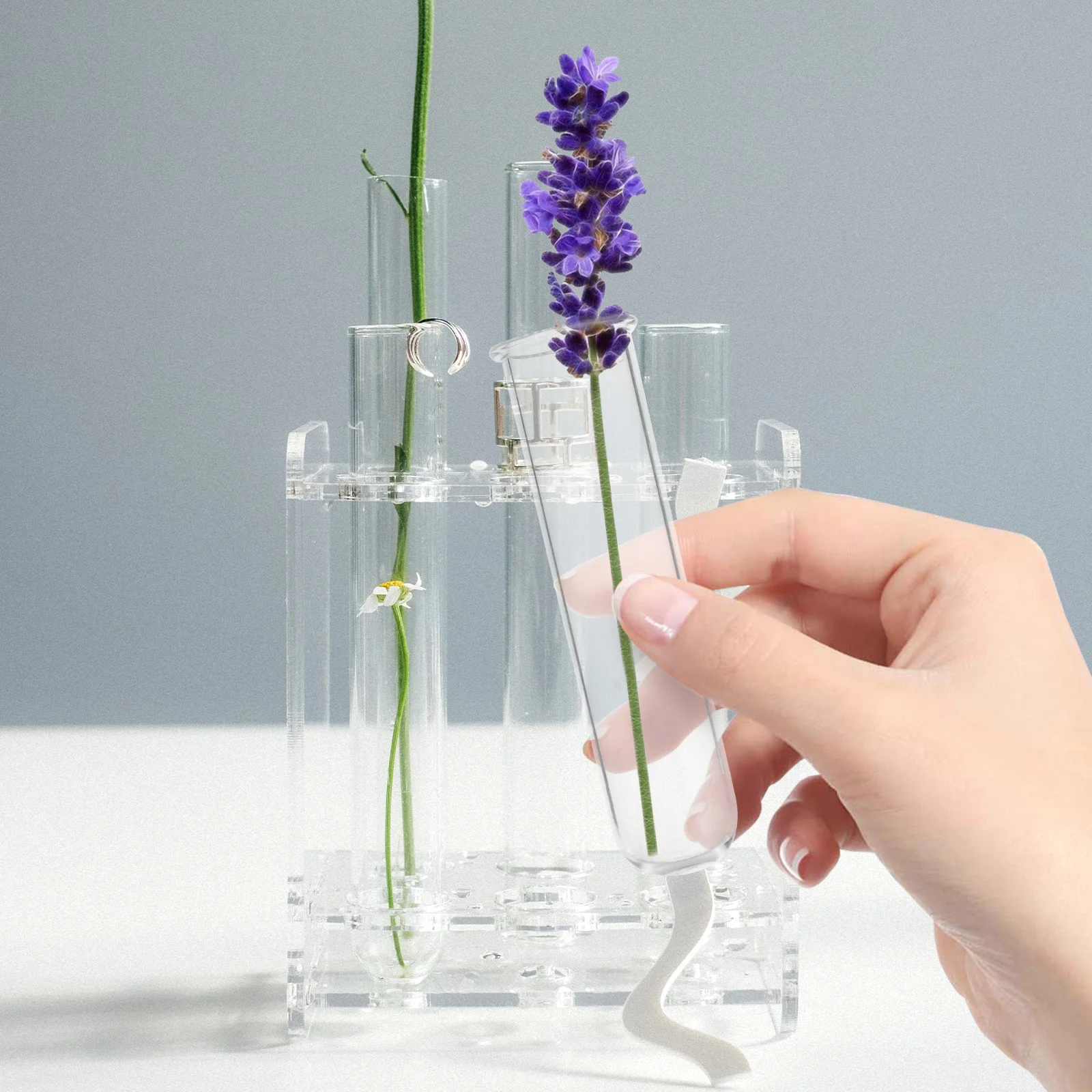 5 Pcs Brim UV Test Tube Vase Tubes for Plants Convenient Glass Decorate Vases Office 4