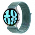 Cclcstial teal 29